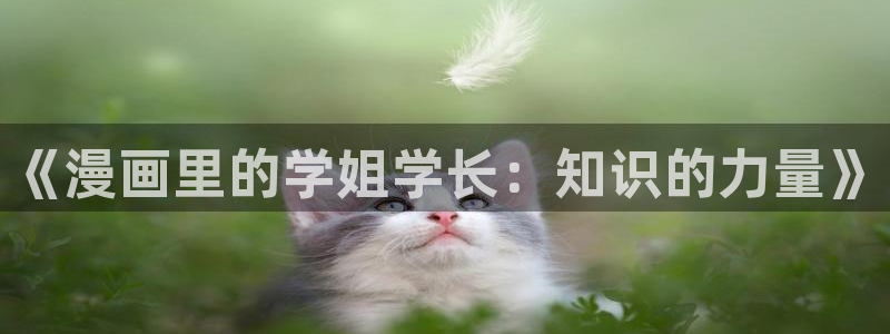 香蕉漫画真人